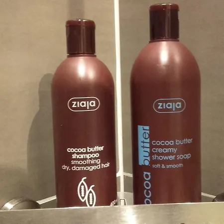 Bed & Breakfast Obrechtstraat L'Aia